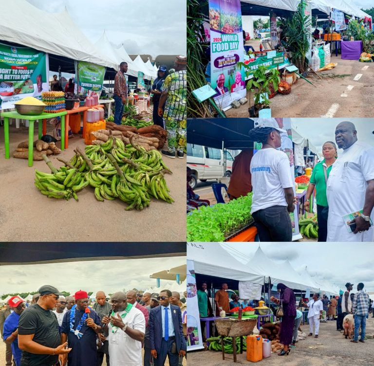 Delta State Addresses Food Security Challenges, Pushes for Agribusiness Growth on World Food Day