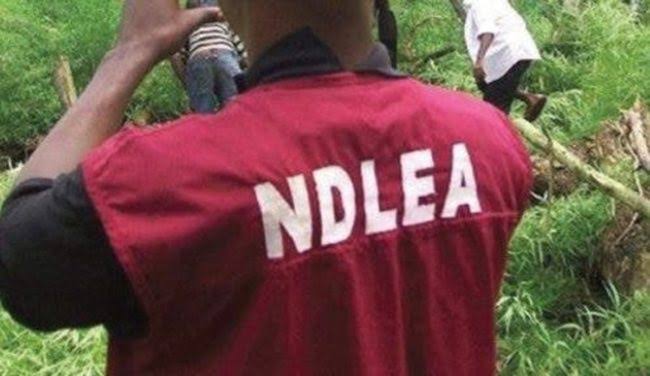 NDLEA-Army